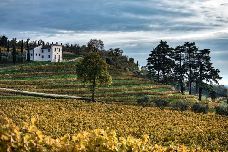 Bertani