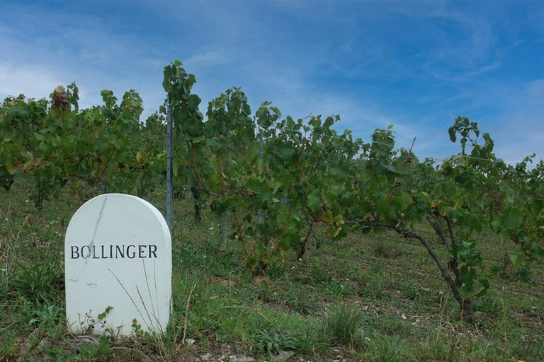 Bollinger