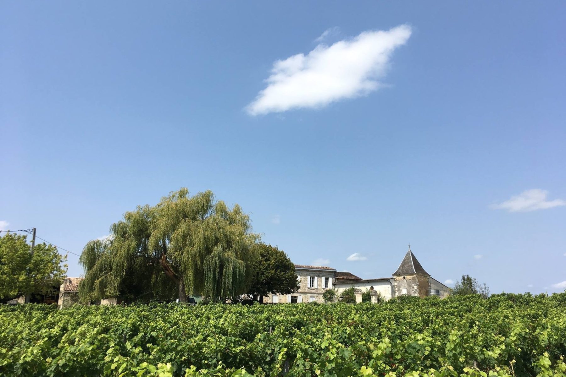 Château Brande Bergère