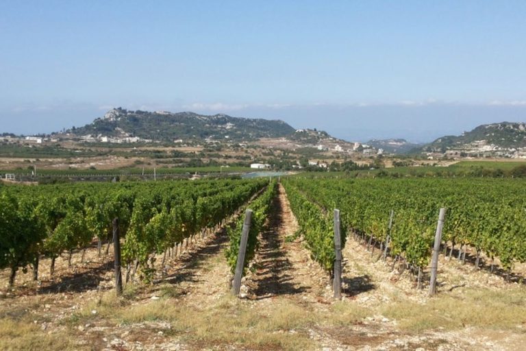 Domaine de Bargylus