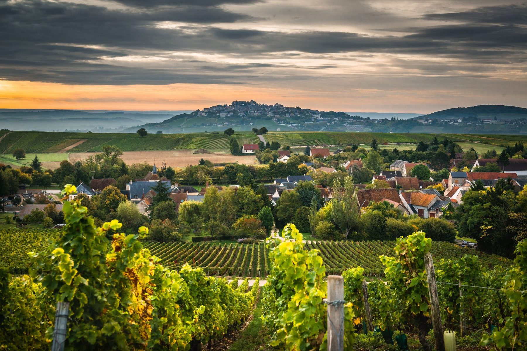 Domaine R. Neveu