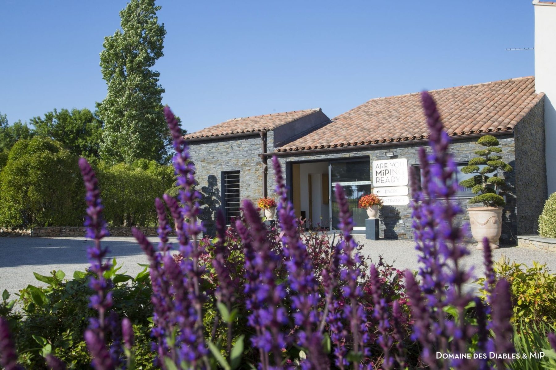 Domaine Sainte Lucie (MIP)