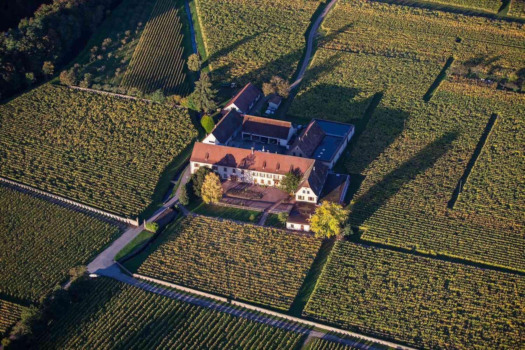 Domaine Weinbach