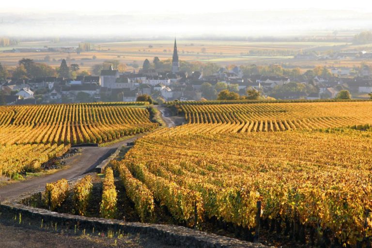 Domaine Xavier Monnot