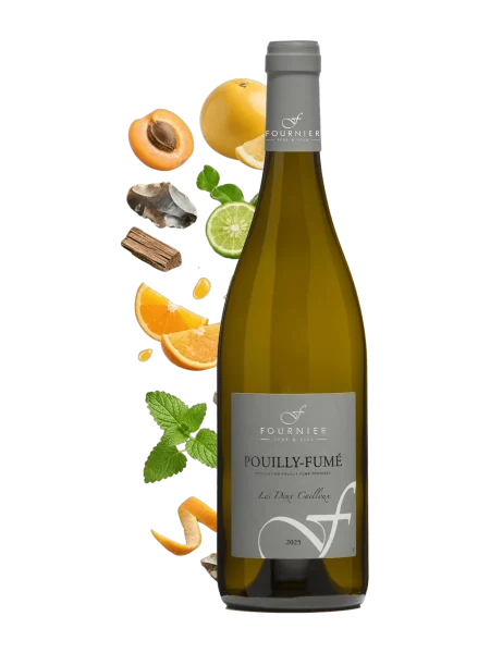 Fournier Pouilly Fume Les Deux Cailloux