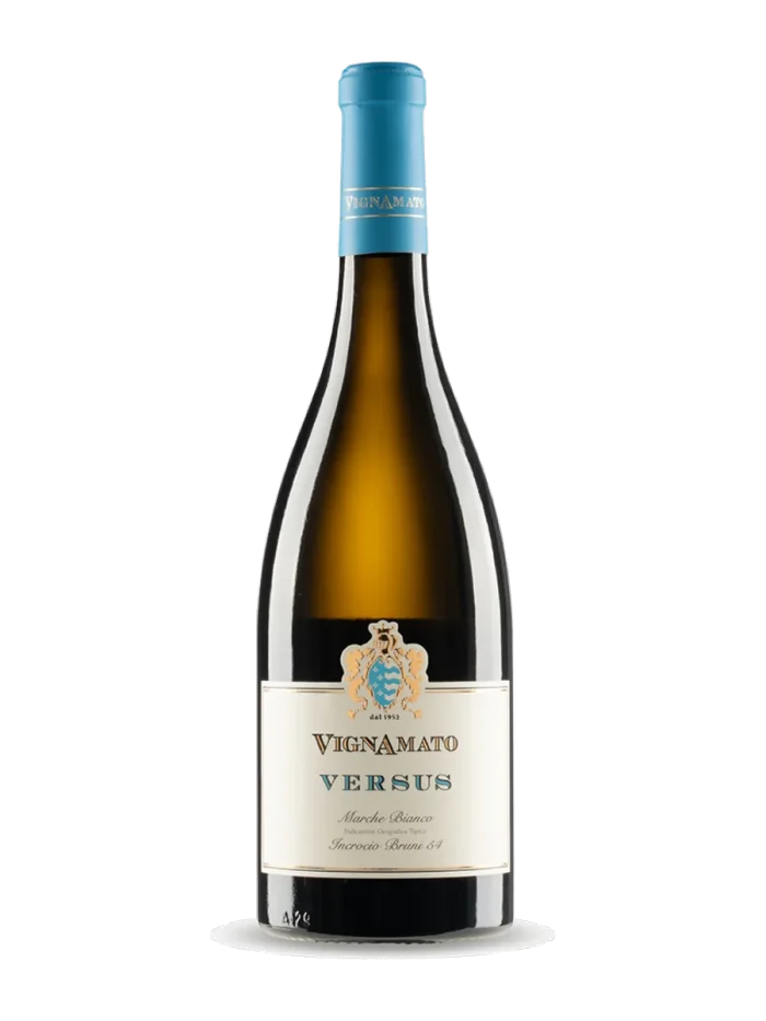 Vignamato Amato Verdicchio - 2019