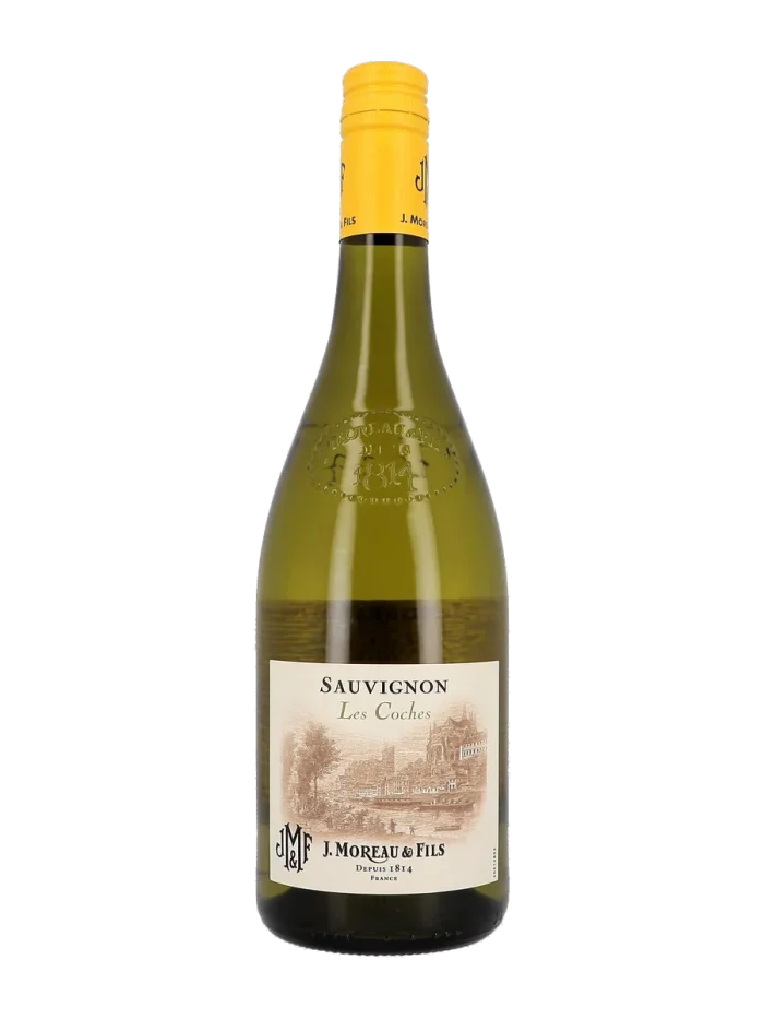 J. Moreau & Fils, Sauvignon Blanc