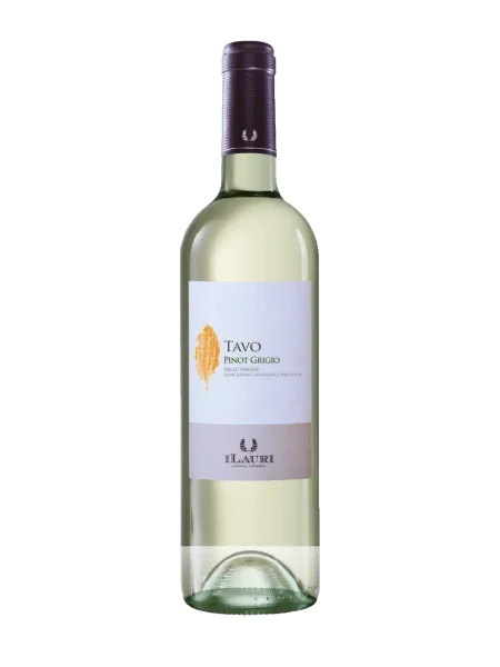 iLauri - TAVO Pinot Grigio