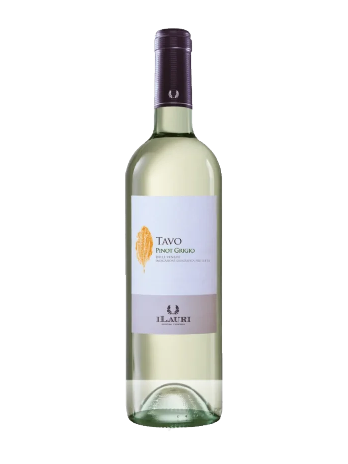 iLauri - TAVO Pinot Grigio