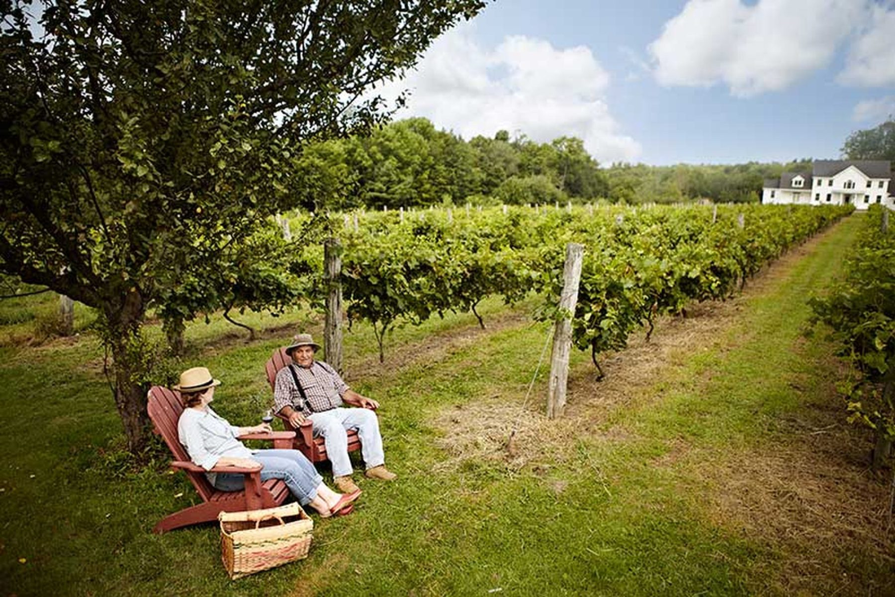 La Miranda
