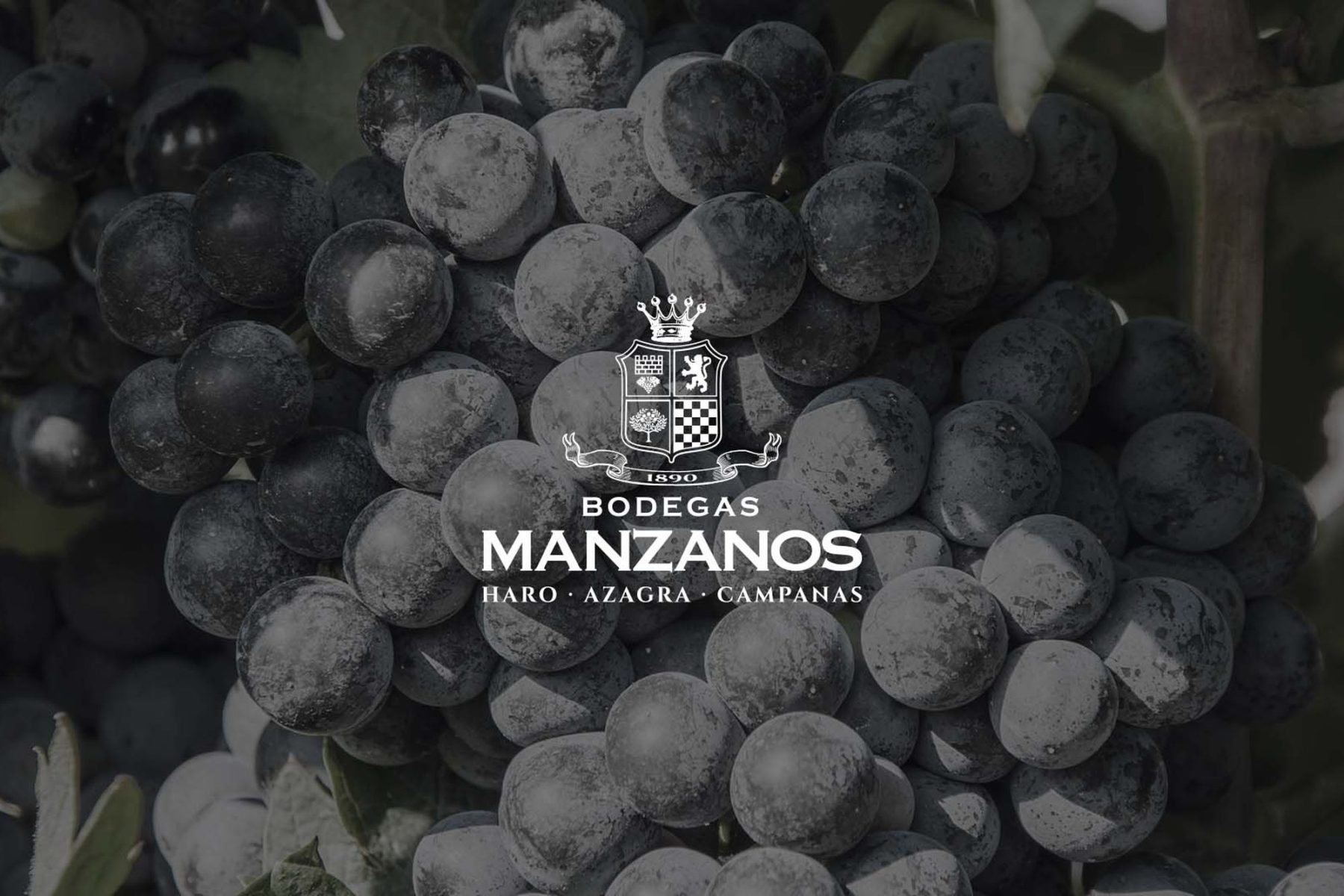 Manzanos
