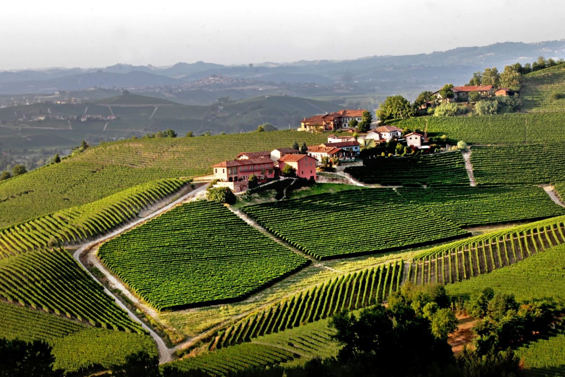 Prunotto