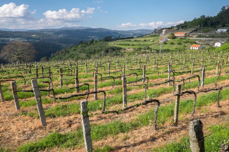 Quinta de Calçada