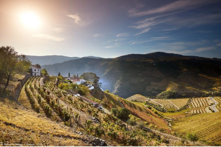 Quinta do Noval
