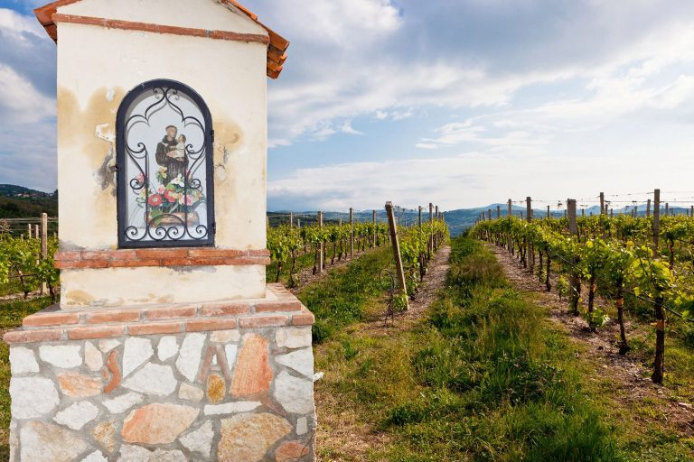 Tenuta Sant'Antonio