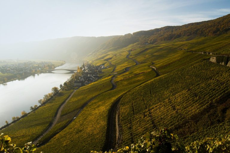 Weingut Hain
